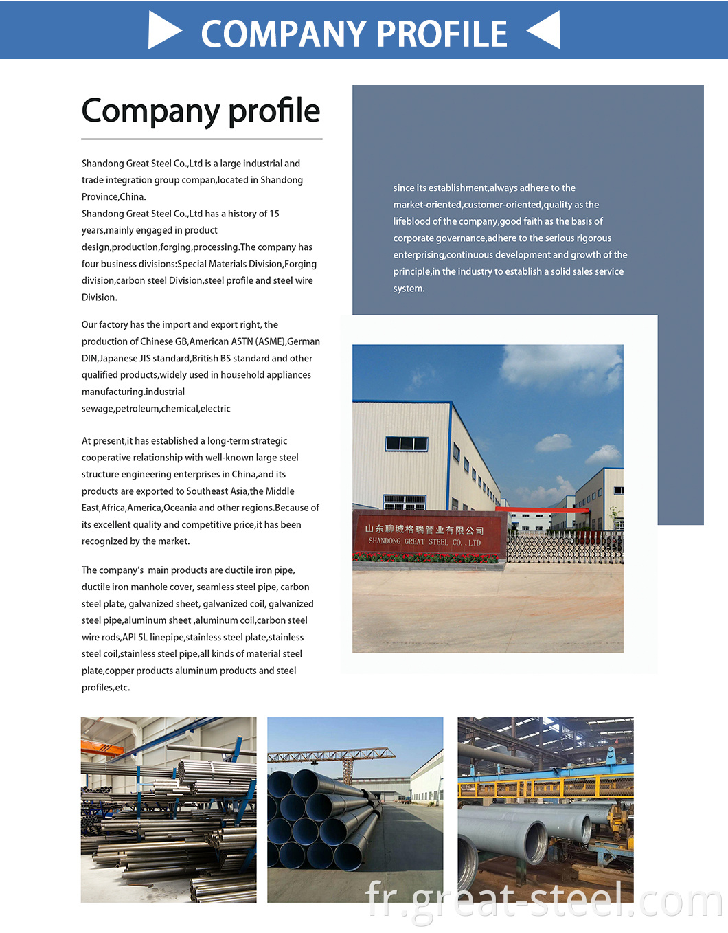 company profile